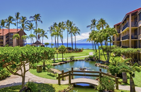 Wander through Papakea K-105’s grounds filled with swaying palms and lush gardens.