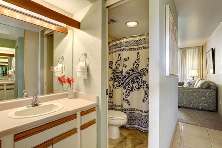 Bathroom with full size shower & tub