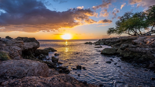Dramatic sunset paints the sky in golden hues over a rugged rocky coastline with natural tide pools and native trees.