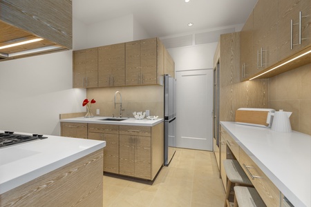 Kitchenette area in the separate guest suite, equipped for light cooking and convenience.