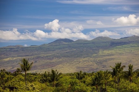 Marvel at sweeping mountain vistas from nearly every angle on the estate.