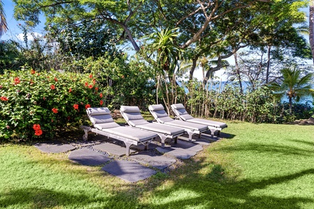 Unwind on comfortable loungers in your tropical garden oasis, surrounded by vibrant hibiscus blooms.