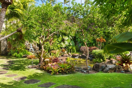 Tropical garden oasis with lush palms