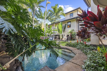 Tropical backyard with lush greenery and a sparkling pool.