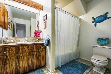 Guest bathroom across the hall from the guest bedroom