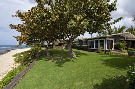 Idyllic beachfront yard with mature trees, perfect for serene outdoor living.