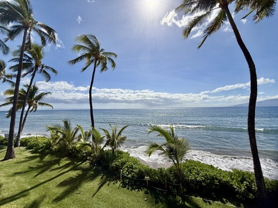 Peaceful ocean view with palms and a grassy shoreline—perfect for quiet moments by the water.