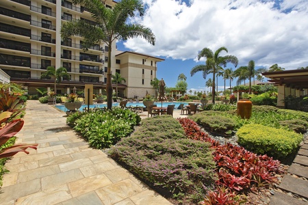 Stroll through beautifully landscaped gardens connecting the pools, lagoons, and beachfront.