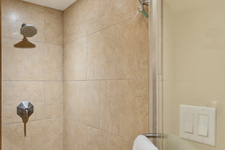 Walk-in shower in the primary bathroom