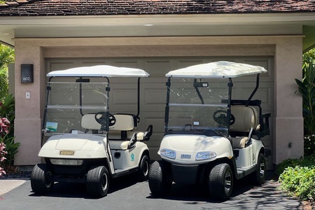 This rental comes with TWO 4-seater golf carts!