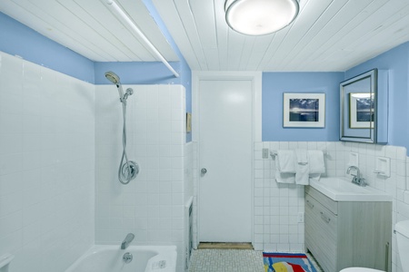 Downstairs Bathroom, Tub/Shower Combo