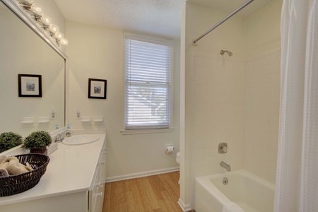 Guest Bathroom, Tub/Shower Combo