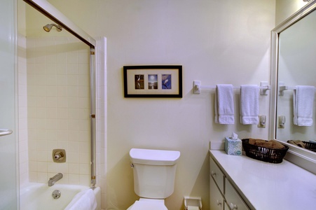 Master Bathroom, Tub/Shower Combo