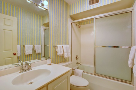Guest Bathroom 1~ Tub/Shower Combination