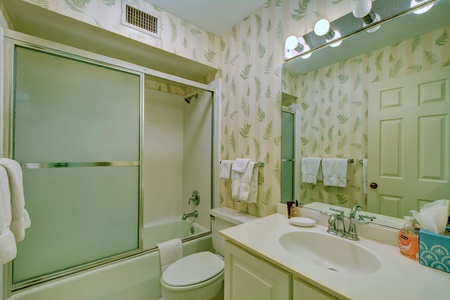 Guest Bathroom 2~ Tub/Shower Combination