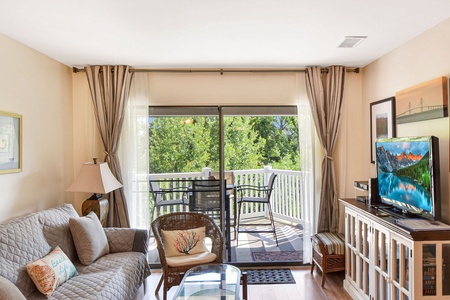 Living Room and Balcony