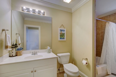 Upstairs Guest Bathroom 2