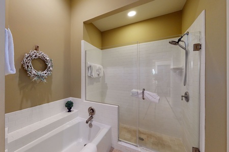 Downstairs Master Bathroom