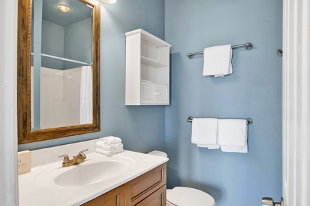 Bedroom 4 private bath with walk-in shower