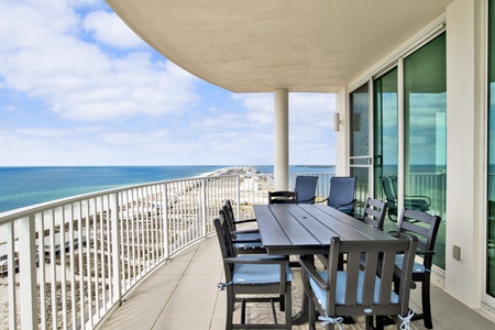 Welcome to Dolphin View!