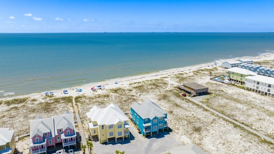 Fort Morgan beaches are pet-friendly!