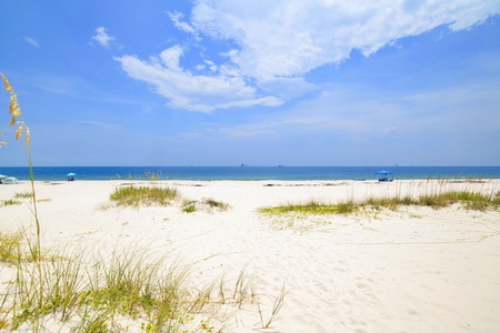 Fort Morgan offers 14 miles of beach and is pet-friendly!