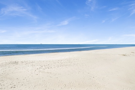 The beaches in Ft Morgan are pet-friendly