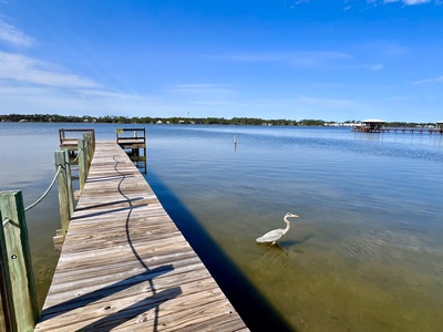 Book Sailhouse East with Harris vacations for your next stay!