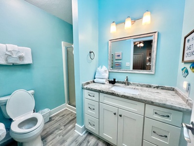 2nd floor private guest bathroom with a walk-in shower