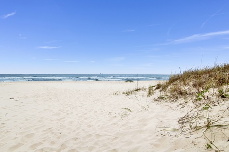 Fort Morgan is a pet-friendly beach!