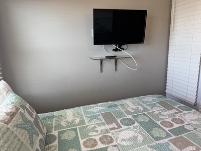It features a Queen bed and TV
