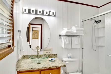 Master bathroom with a walk-in shower