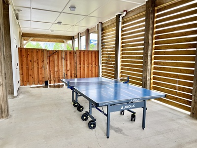 Ping-pong table under the home