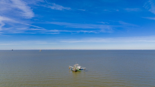 Watch the shrimp boats from the beach