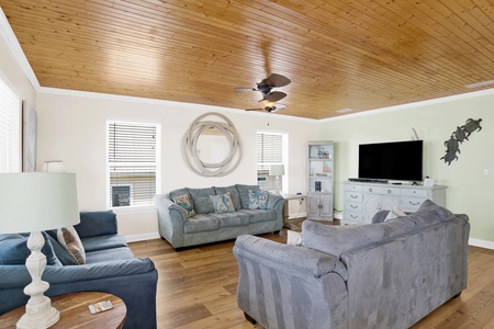 Featuring 3 sofas and a TV