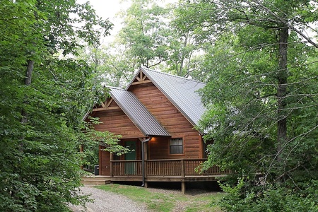 dewybluff1