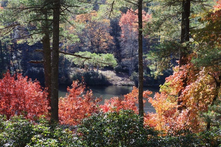 LakeView Cottage - Lake Sequoyah Views!