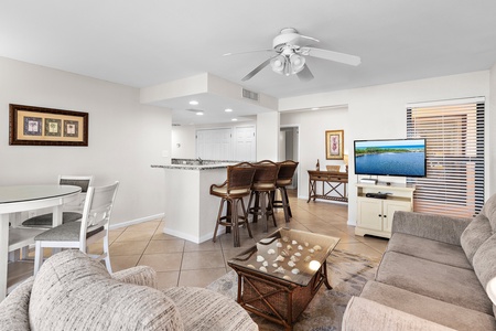 Kitchen Bar Area and Living Area