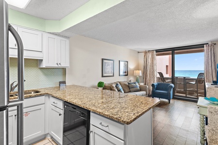 Kitchen Bar Area and Living Area