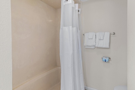 Bathroom with Tub Shower Combination
