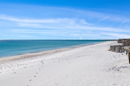 Beach / Sand Dunes