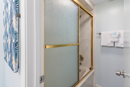 Bathroom with Tub Shower Combination
