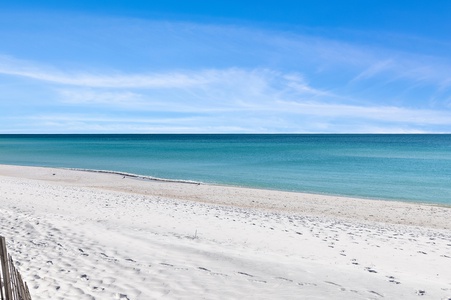 Beach / Sand Dunes