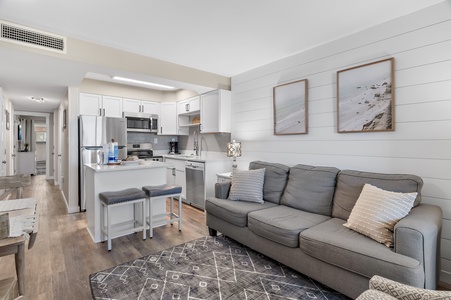 Living and Kitchen Area