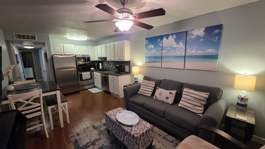 Living and Kitchen Area