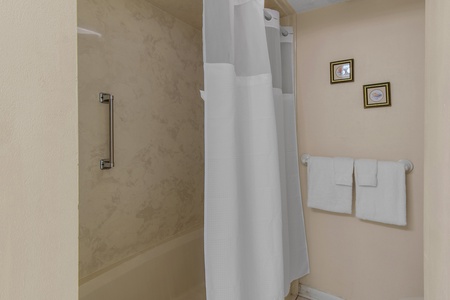 Bathroom with Tub Shower Combination