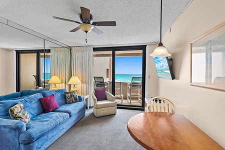 Living Area with View