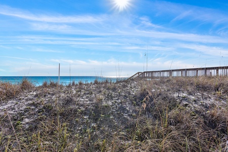 Beach/Dunes