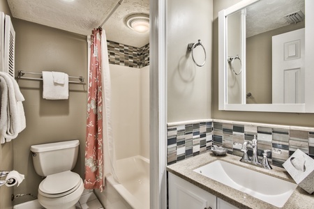 Guest Bathroom