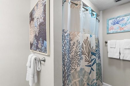 Bathroom with Tub Shower Combination